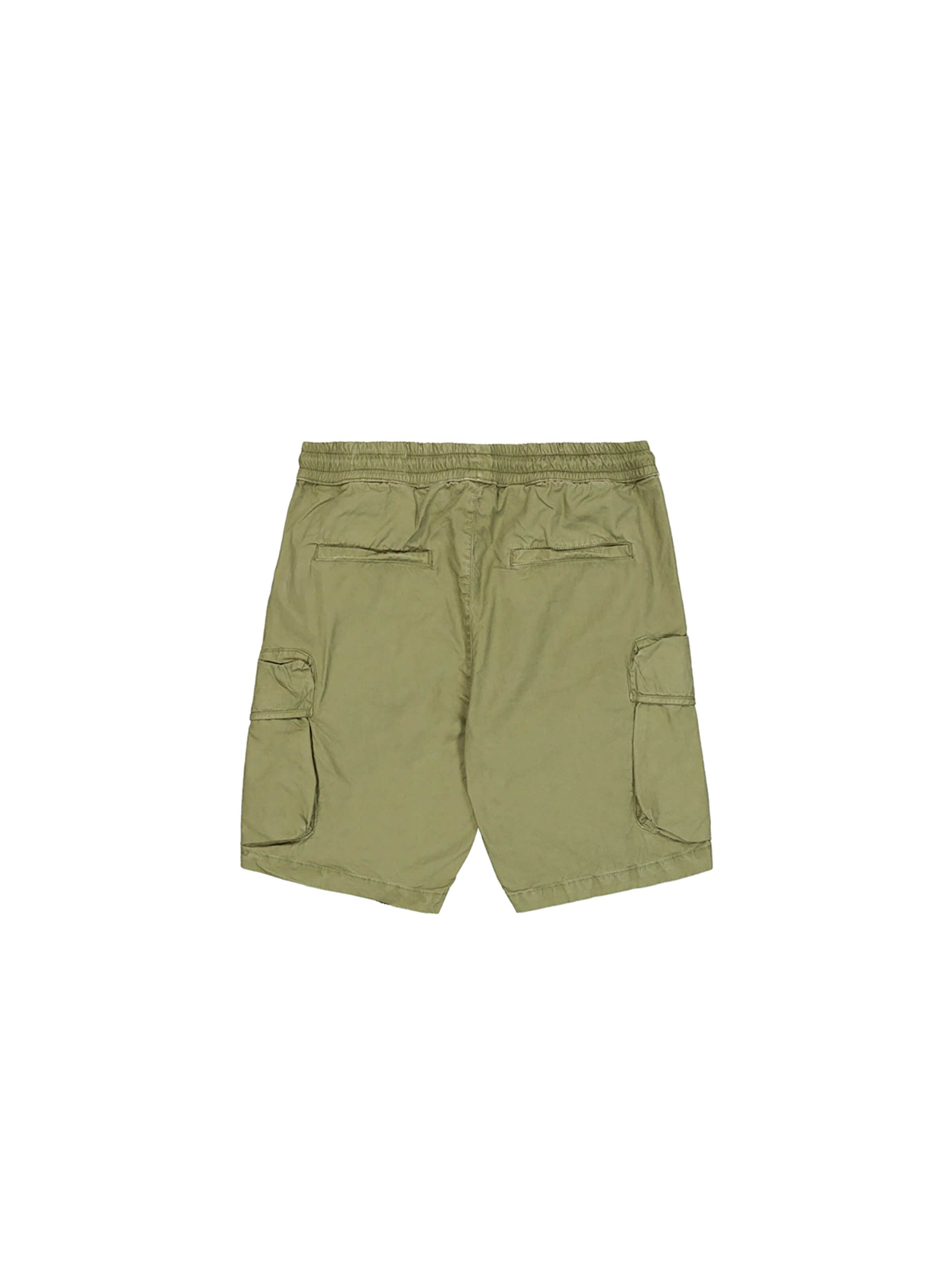 ALPHA INDUSTRIES Regular Pants 'Division' in Green