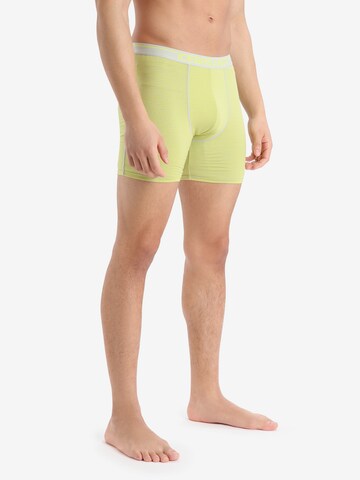 ICEBREAKER Athletic Underwear 'Anatomica' in Yellow: front