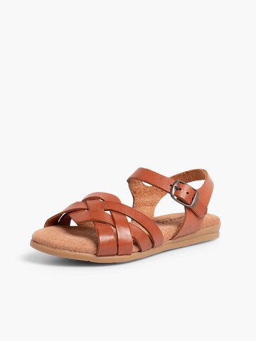 Sandales Pisamonas en marron : devant