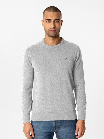 Williot - Jersey en gris: frente