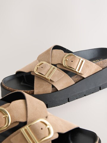 Next Muiltjes in Bruin