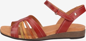 PIKOLINOS Strap Sandals in Red: front