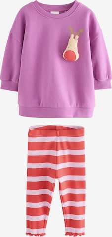 purpurinė Next Rinkinys: priekis