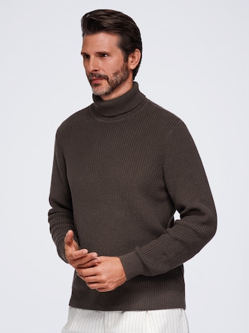 Ombre Sweater in Brown