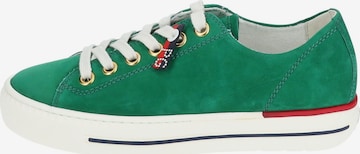 Sneaker bassa di Paul Green in verde