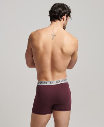 Superdry Boxershorts in Pink