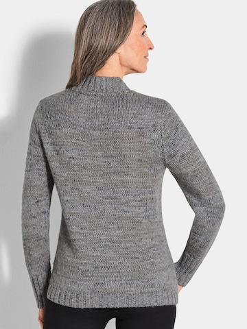 Pull-over Goldner en gris