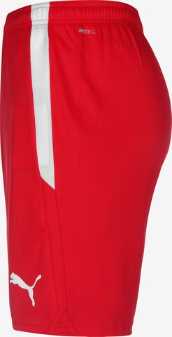 PUMA Regular Workout Pants 'TeamLiga' in Red