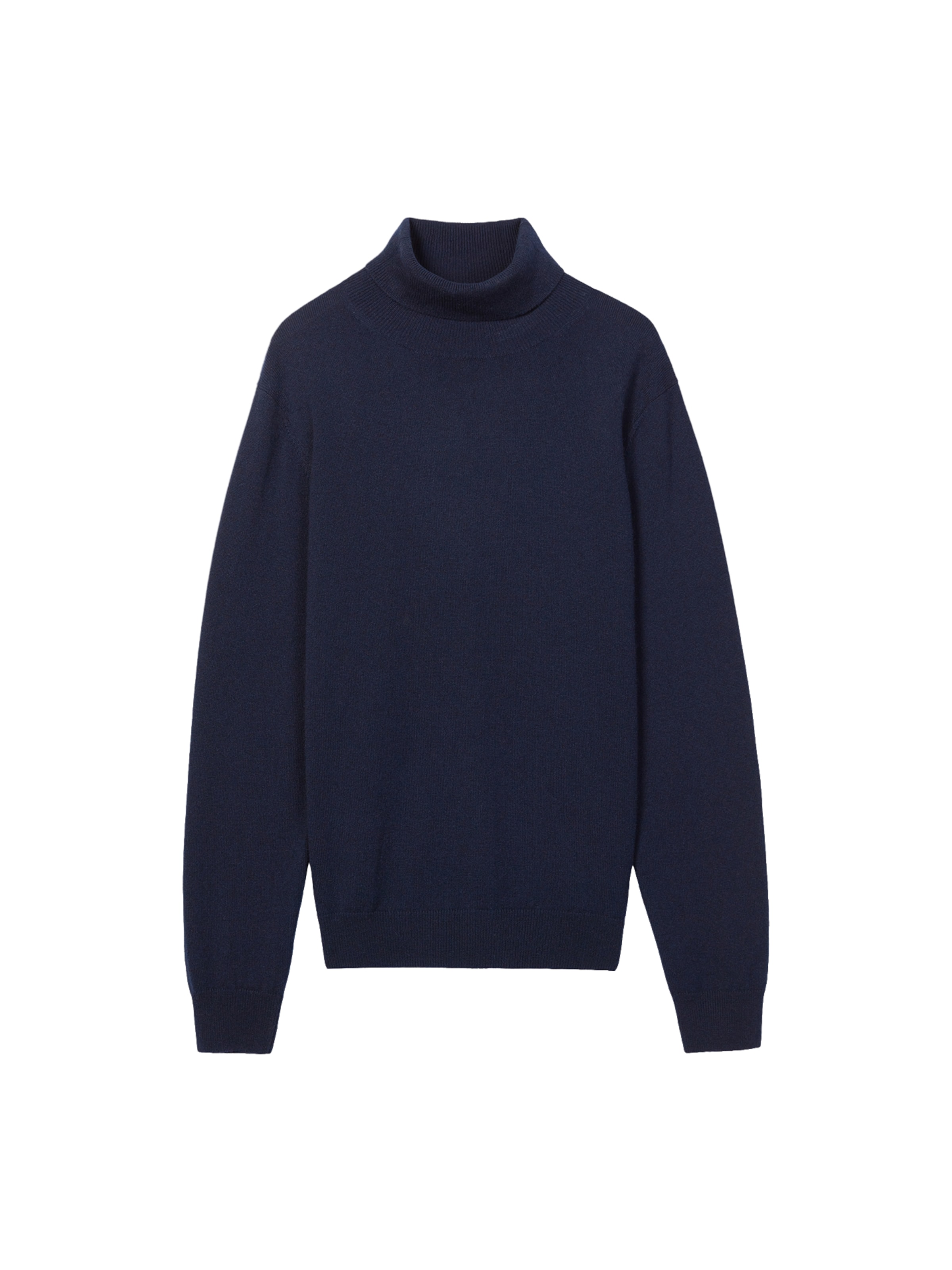 GOBI Cashmere Sweater 'Men's Essential Turtleneck Cashmere Sweater' in Blue: front