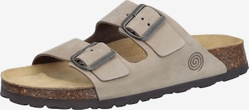 DR. BRINKMANN Pantolette 'BONILLO' in Beige: Vorderseite