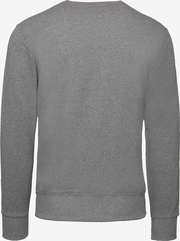 Champion Authentic Athletic Apparel Regular Fit Sweatshirt in Grau