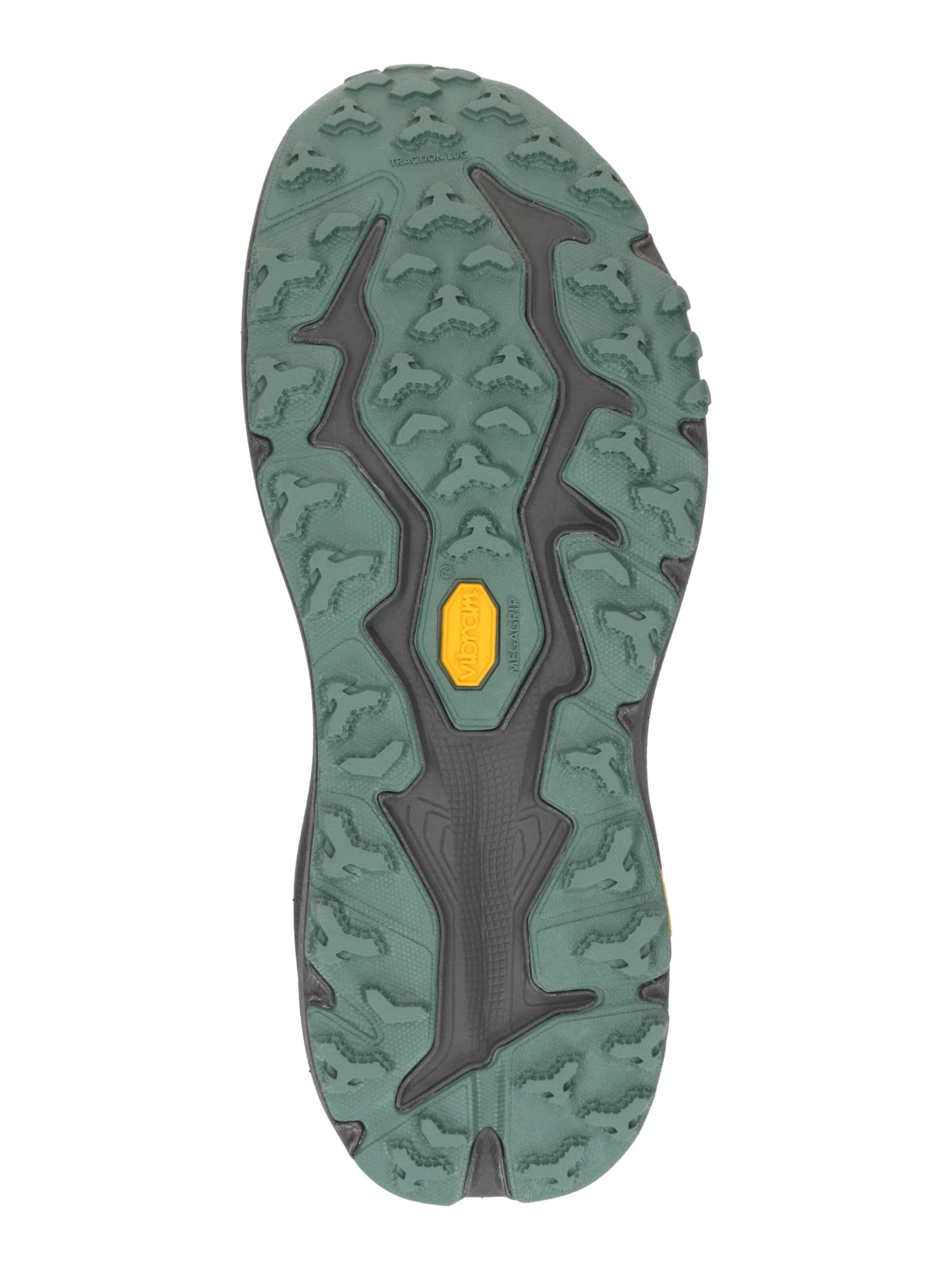 HOKA Обувь для бега 'SPEEDGOAT 6' в Зеленый