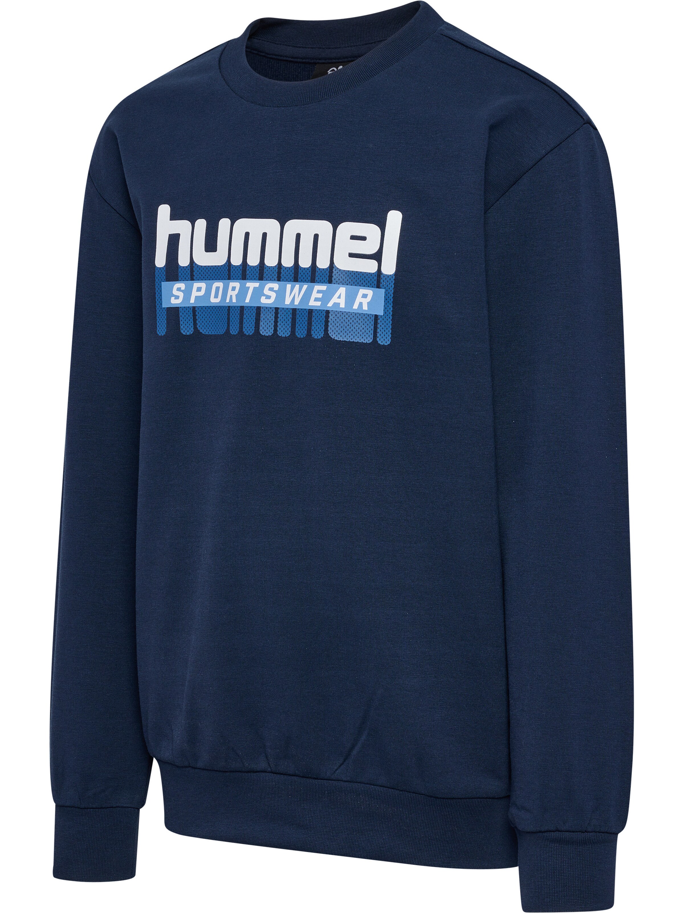 Hummel Sweatshirt 'Tukas' i blå