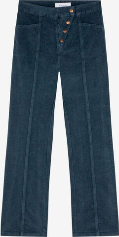 Scalpers Boot cut Pants in Blue: front
