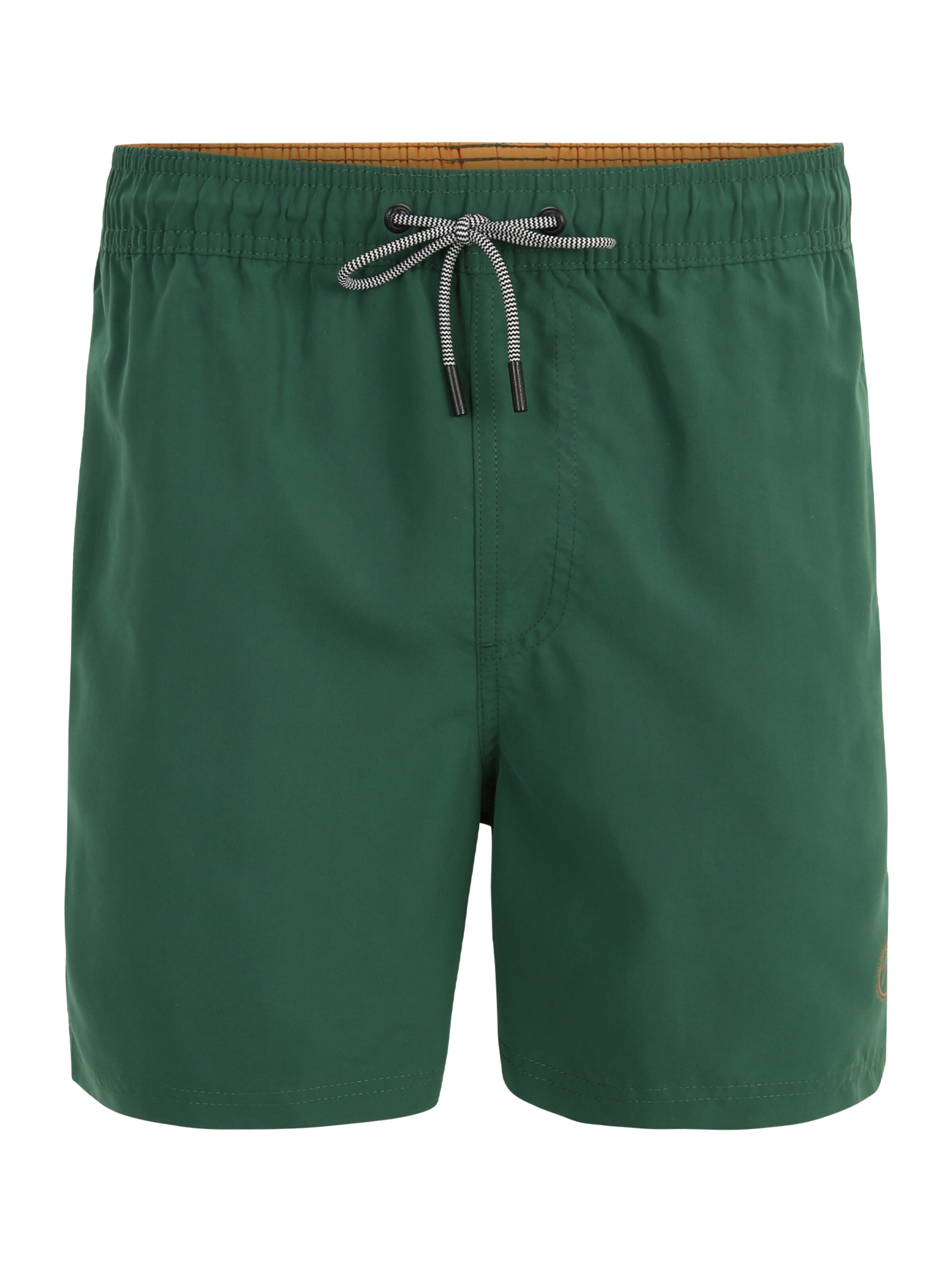JACK & JONES Zwemshorts 'Fiji' in Groen: voorkant