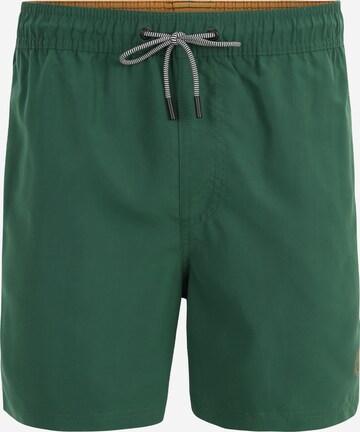 JACK & JONES Board Shorts 'FIJI' in Green: front