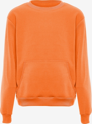 ALEKO Sweatshirt in Oranje: voorkant