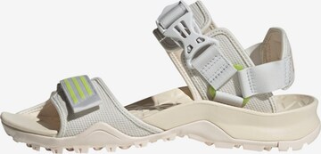 ADIDAS TERREX Sandals 'Cyprex Ultra II DLX' in Grey: front