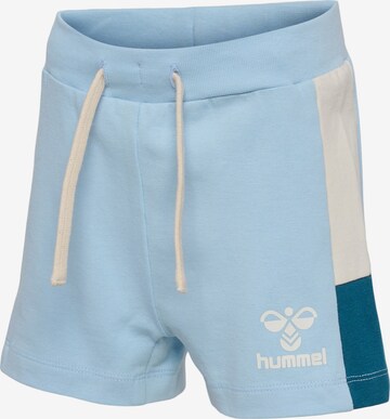 Hummel Regular Pants in Blue