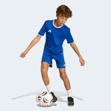 ADIDAS PERFORMANCE Regular Pants 'ENT26' in Blue