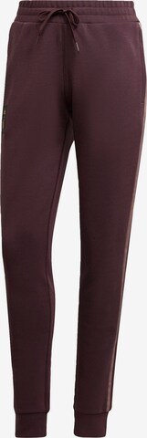 ADIDAS SPORTSWEAR Tapered Workout Pants in Brown: front