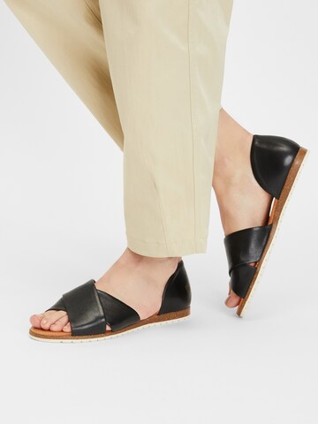 Apple of Eden Sandal 'Chiusi' in Black: front