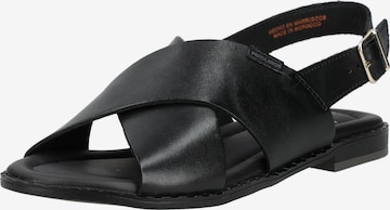 Sandales PIKOLINOS en noir : devant