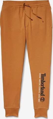 Effilé Pantalon TIMBERLAND en marron : devant
