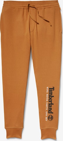 Pantalon TIMBERLAND en marron : devant