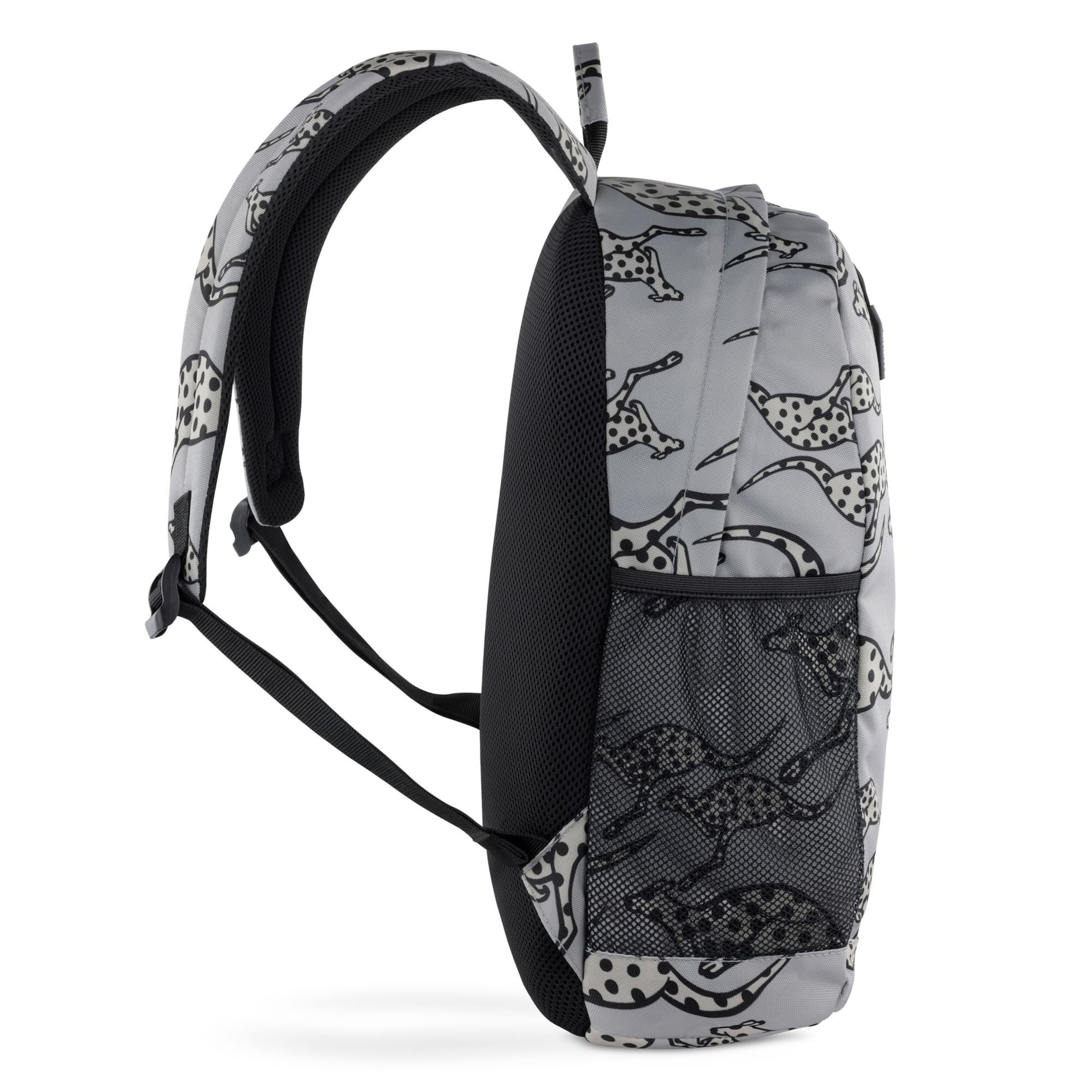 CHIEMSEE Rucksack in Grau