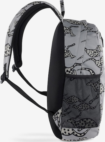 CHIEMSEE Backpack in Grey