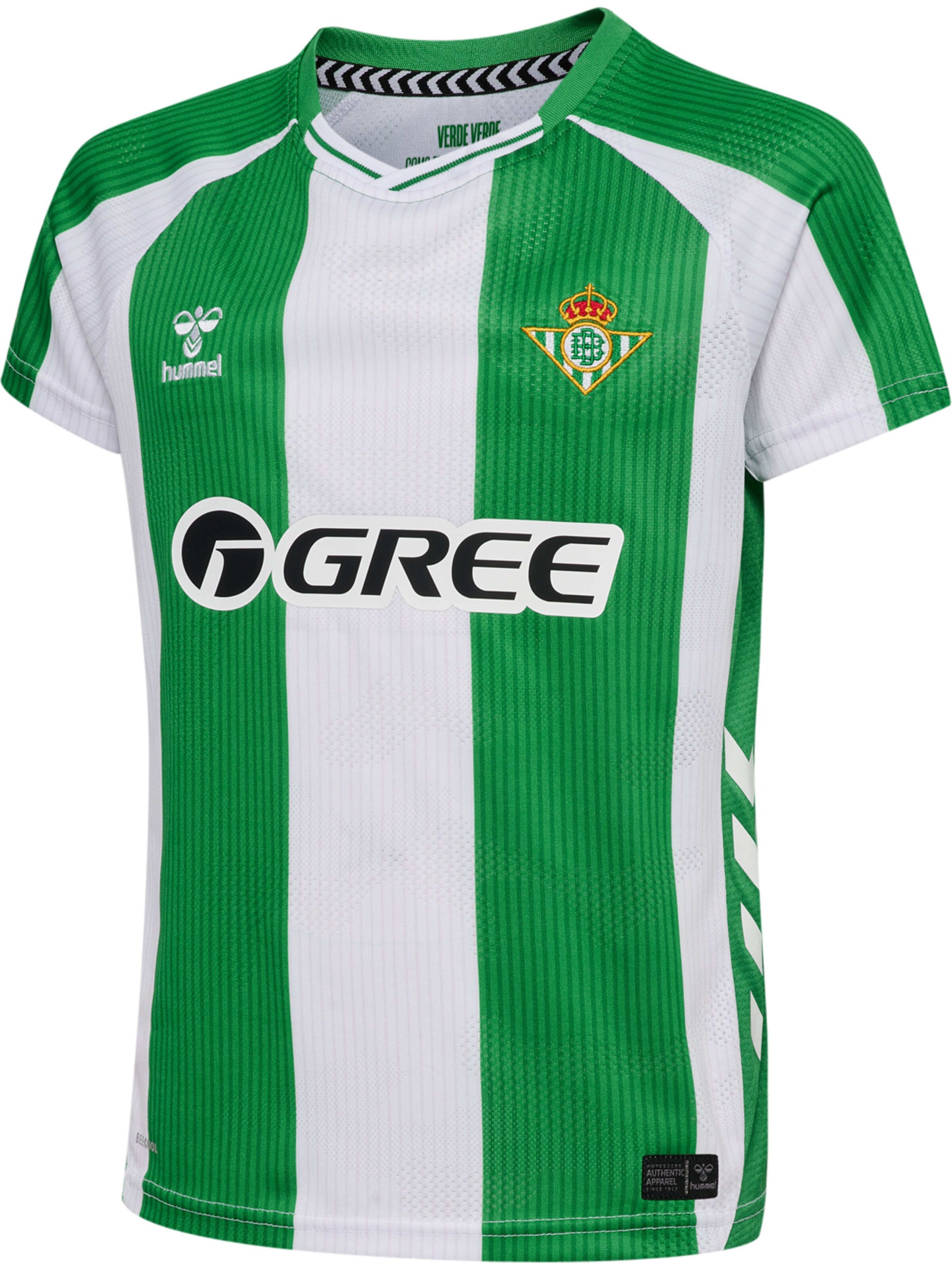 Hummel Performance shirt 'Real Betis 25/26' in Green