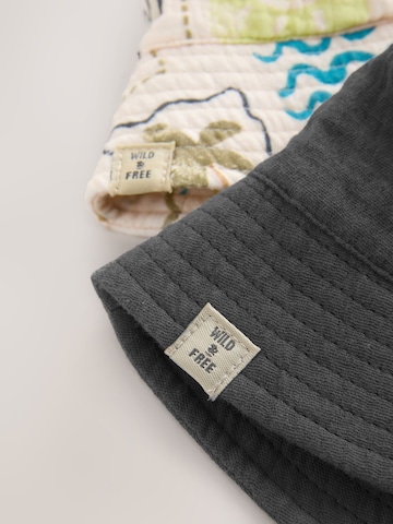 pilka Next Skrybėlaitė