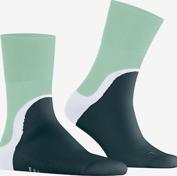 FALKE Socks 'Run Special Edition' in Purple: front