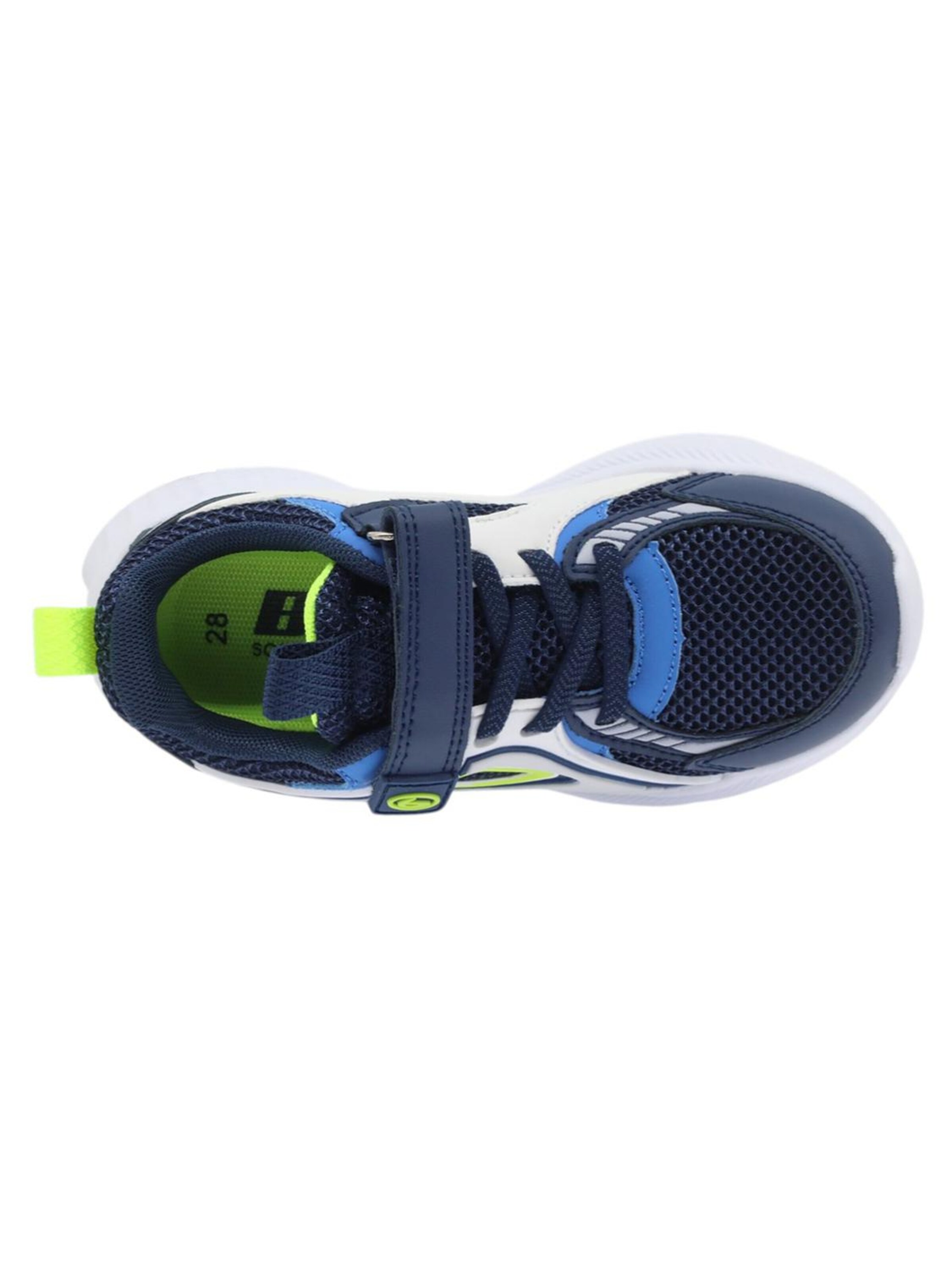 Beppi Sneaker‌‌‌‌‌‌‌ in Blau