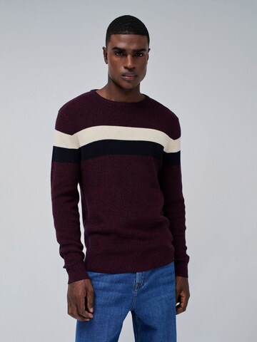 Salsa Jeans Pullover in Rot: Vorderseite