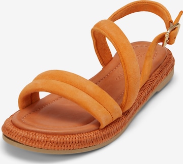 Marc O'Polo Sandals in Orange: front