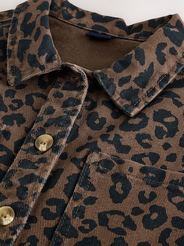 Next Set in Brown
