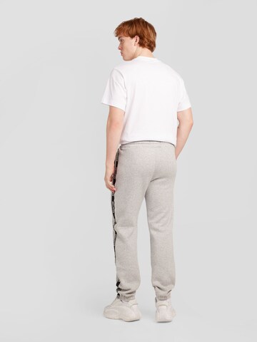 HOLLISTER - Tapered Pantalón en gris