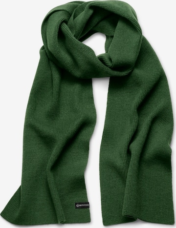 Waykins Scarf in Green: front
