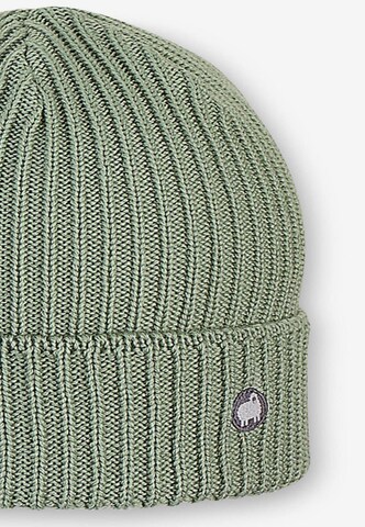 STERNTALER Beanie in Green