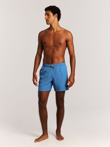 PROTEST Swimming shorts 'Davey' in Blue: front