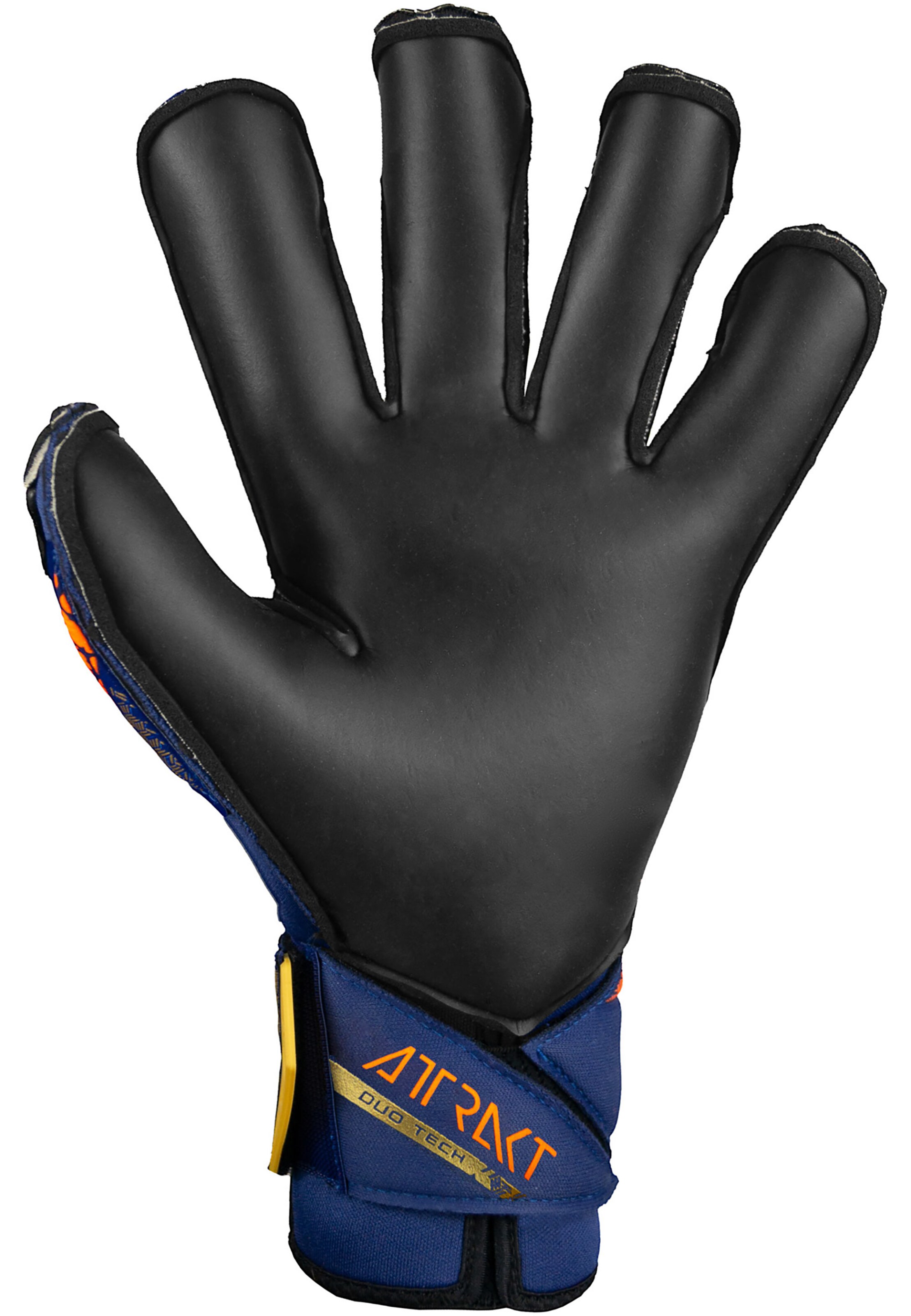 REUSCH Torwarthandschuh 'Attrakt Duo Evolution' in Blau