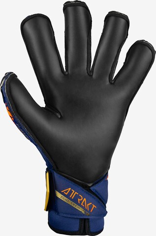 REUSCH Sporthandschoenen 'Attrakt Duo Evolution' in Blauw