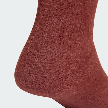 ADIDAS ORIGINALS Socks in Brown
