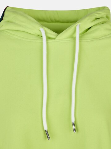 salzhaut Sweatshirt 'Draat' in Groen: voorkant