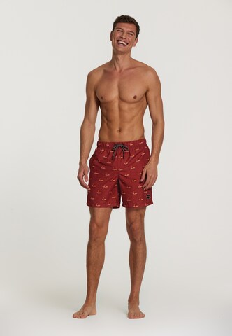 Shorts de bain Shiwi en marron