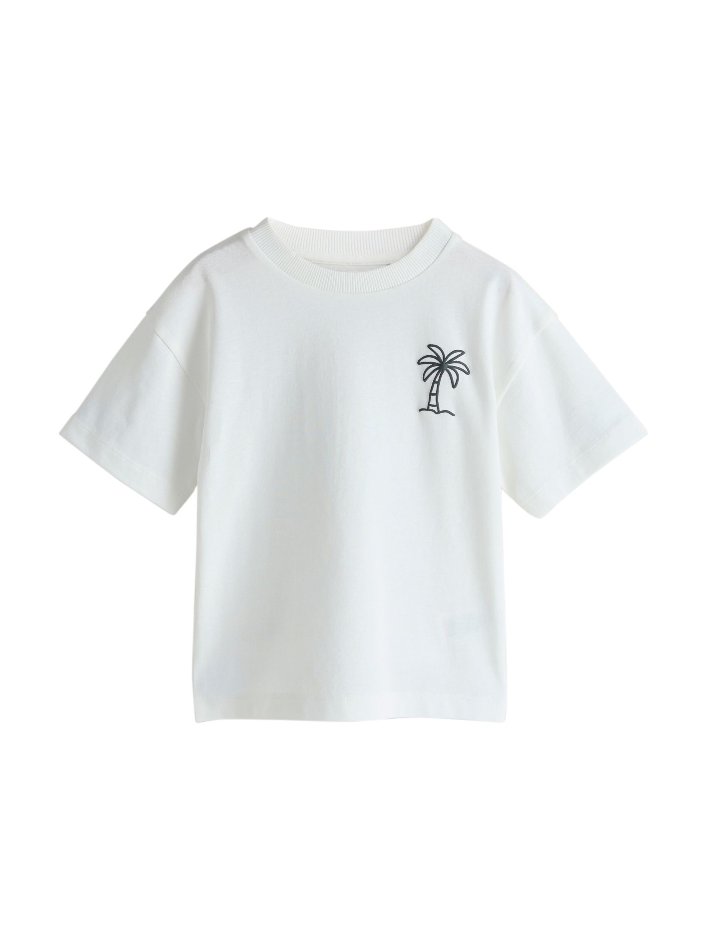 Next Shirt in Mixed colours