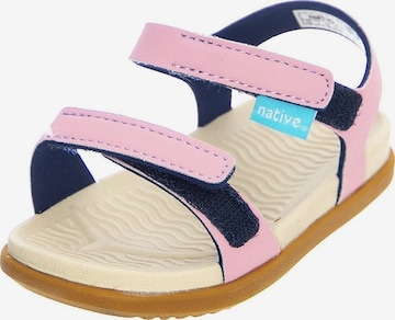 NATIVE Sandały 'Charley Child Sandals' w kolorze mieszane kolory: przód