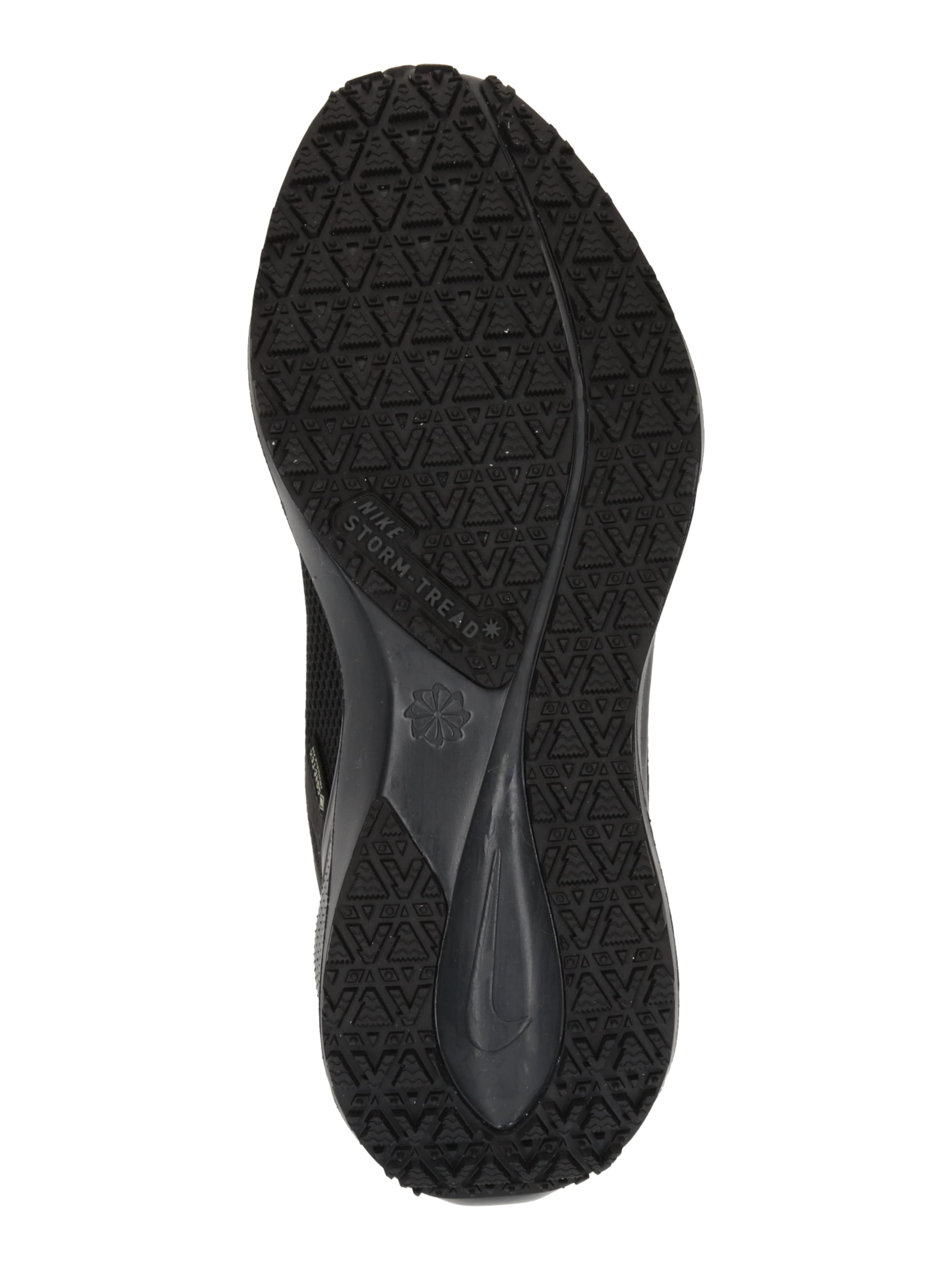 NIKE Bežecká obuv 'Pegasus 41' - Čierna